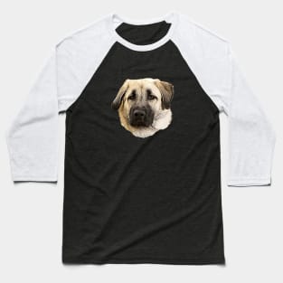 Kangal Shepherd Dog Baseball T-Shirt